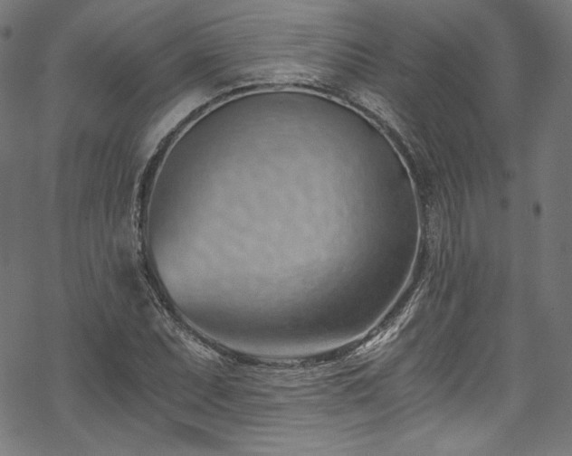 X0000068901071200605081339