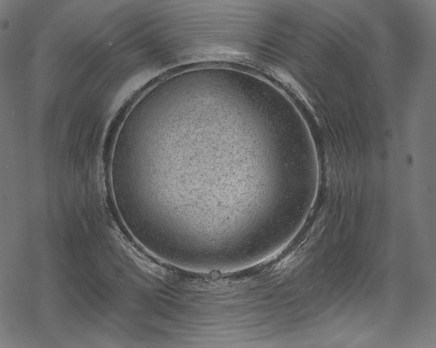 X0000068901072200605081339