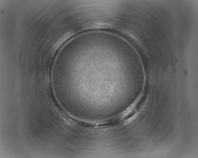 X0000068901073200605081339