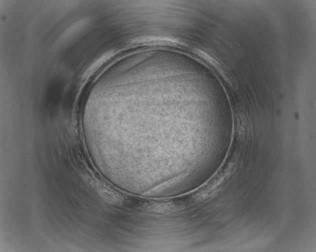 X0000068901074200605081339