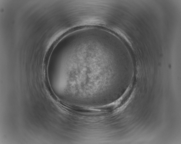 X0000068901077200605081339