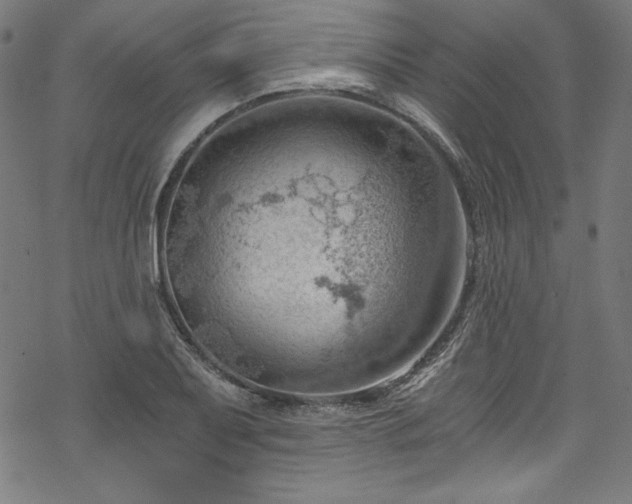 X0000068901079200605081339