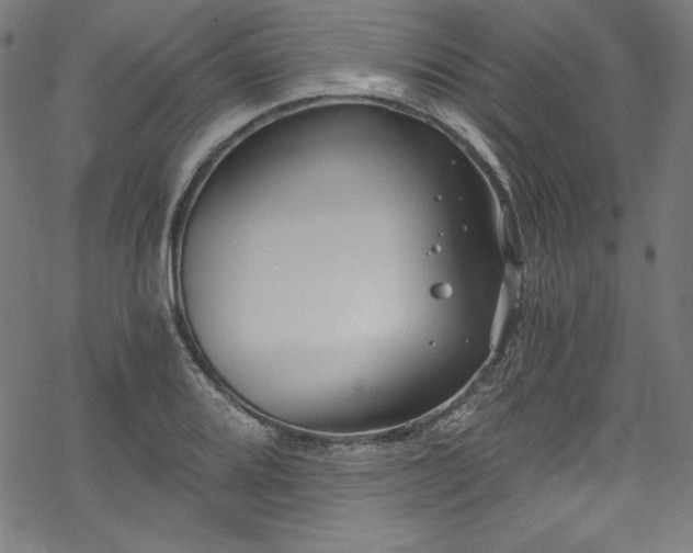 X0000068901080200605081339