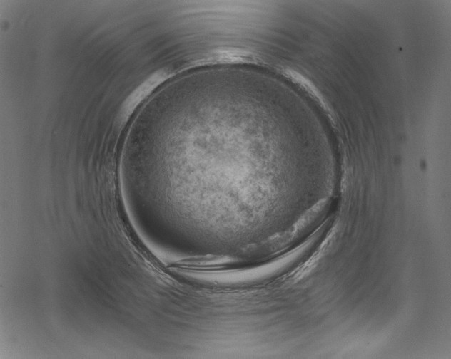 X0000068901081200605081339