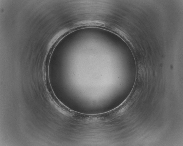 X0000068901082200605081339