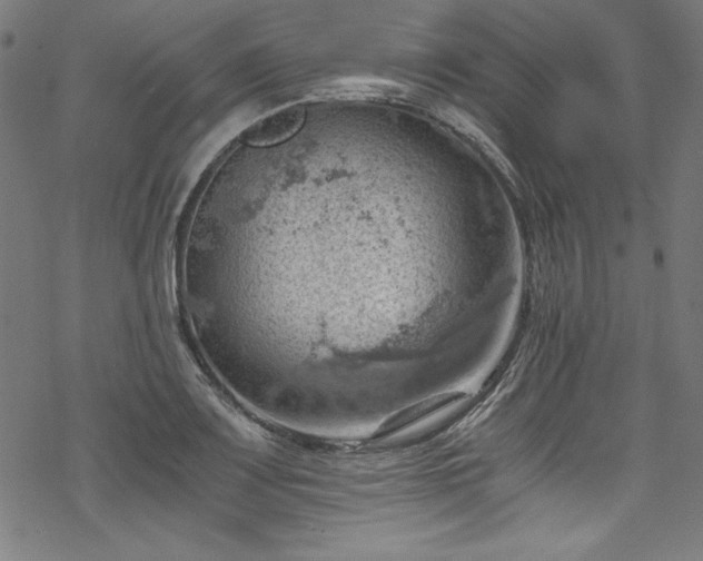 X0000068901083200605081339