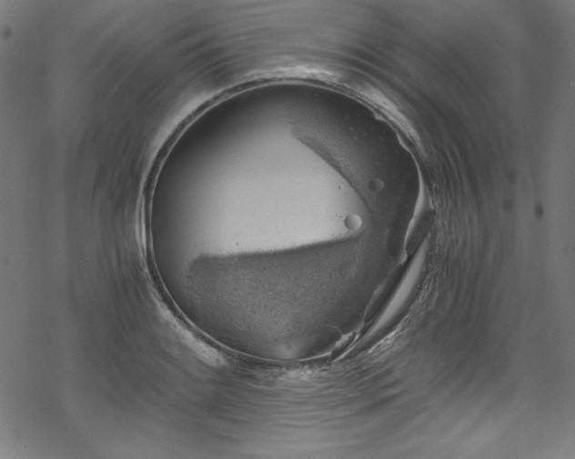 X0000068901084200605081339