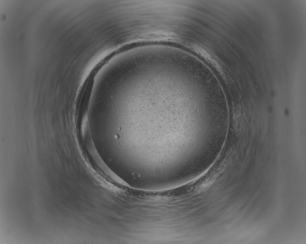 X0000068901085200605081339