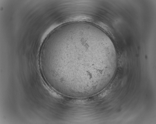 X0000068901086200605081339