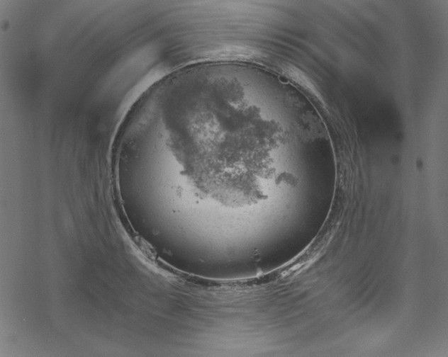 X0000068901087200605081339