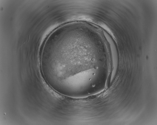 X0000068901088200605081339