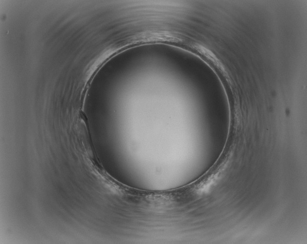 X0000068901089200605081339