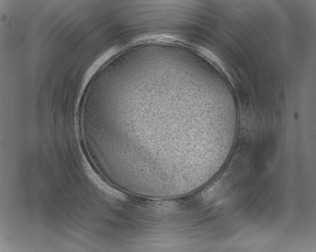 X0000068901090200605081339