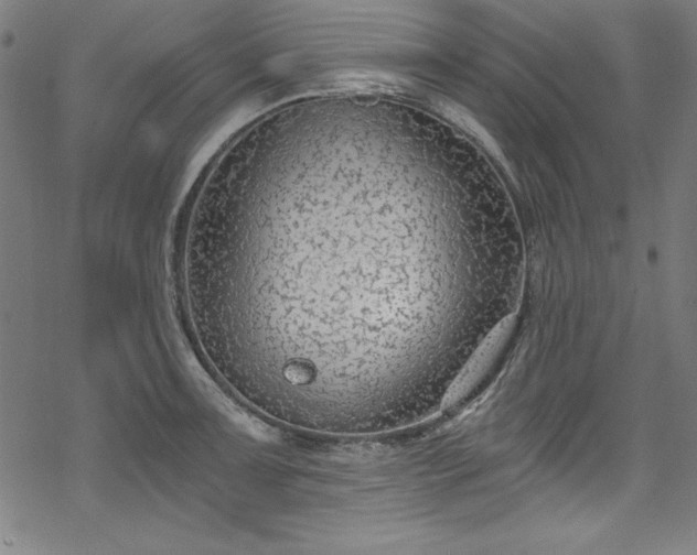 X0000068901091200605081339