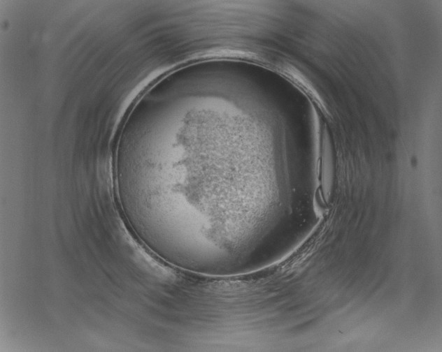 X0000068901092200605081339