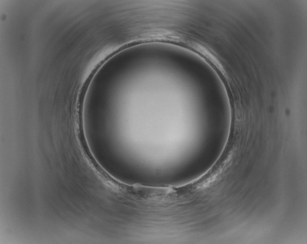 X0000068901093200605081339