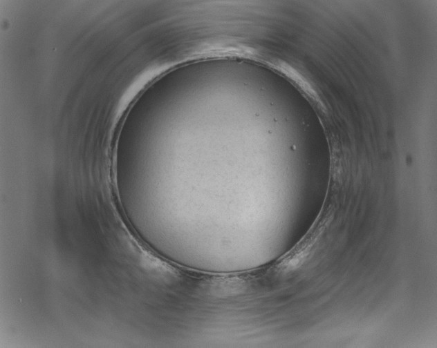 X0000068901094200605081339