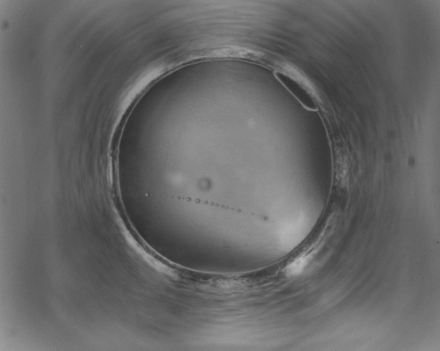 X0000068901095200605081339