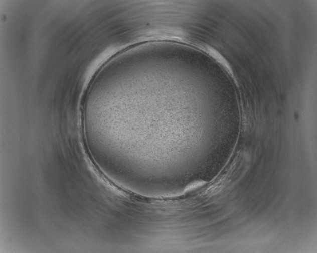 X0000068901096200605081339