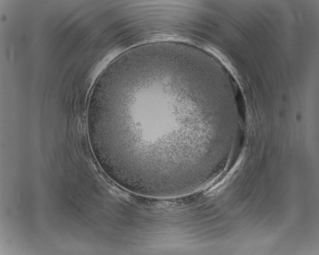 X0000068901097200605081339