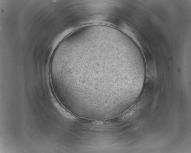 X0000068901098200605081339