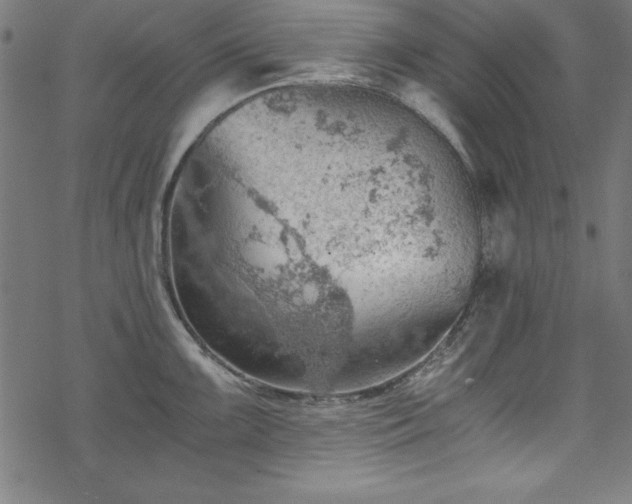 X0000068901099200605081339