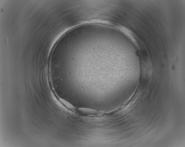 X0000068901100200605081339