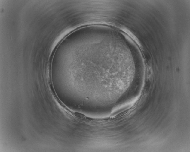 X0000068901101200605081339