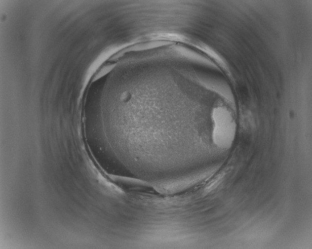 X0000068901102200605081339