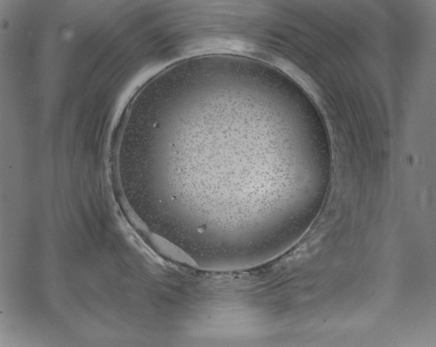 X0000068901104200605081339