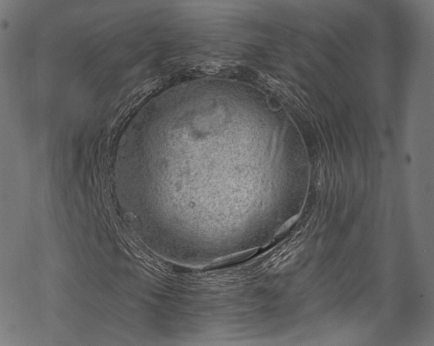 X0000068901105200605081338