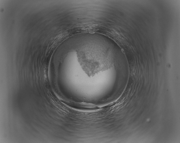 X0000068901106200605081338