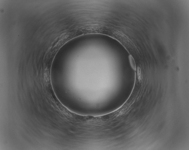 X0000068901107200605081338