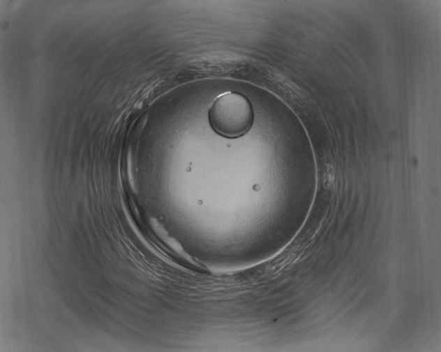 X0000068901108200605081338