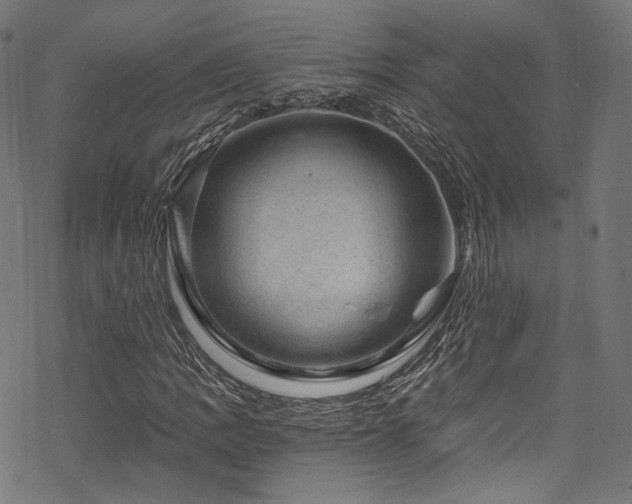 X0000068901109200605081338