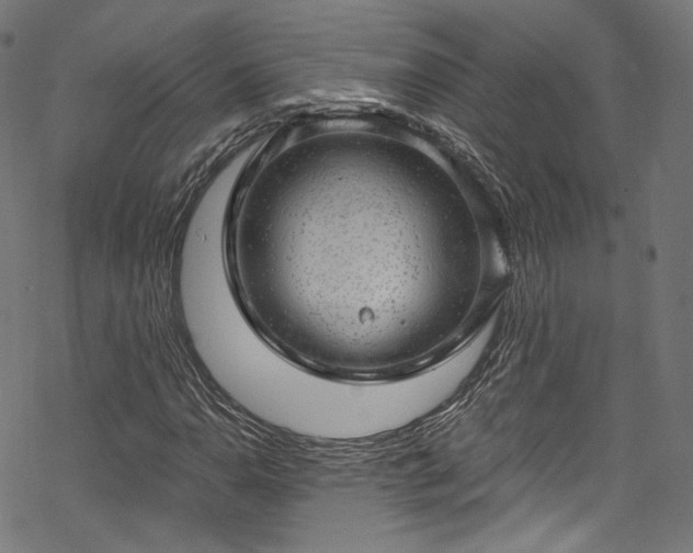 X0000068901110200605081338