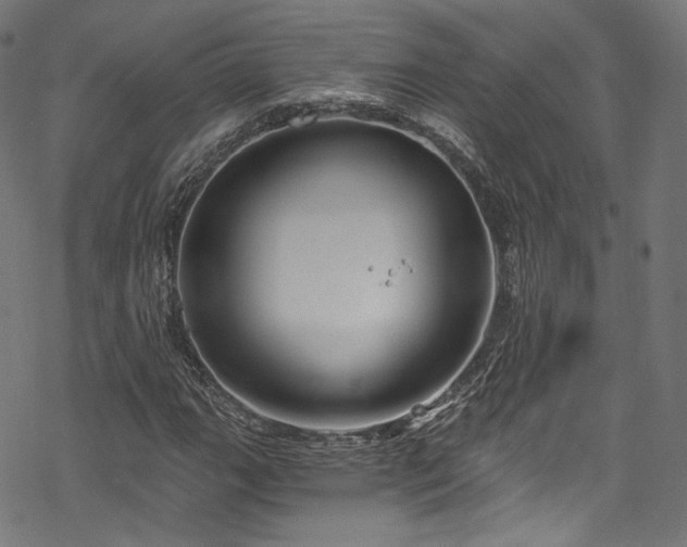 X0000068901111200605081338