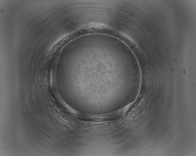 X0000068901112200605081338