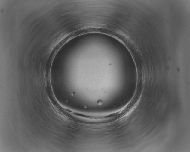 X0000068901113200605081338