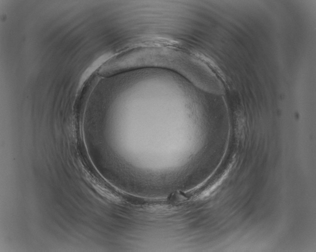 X0000068901114200605081338