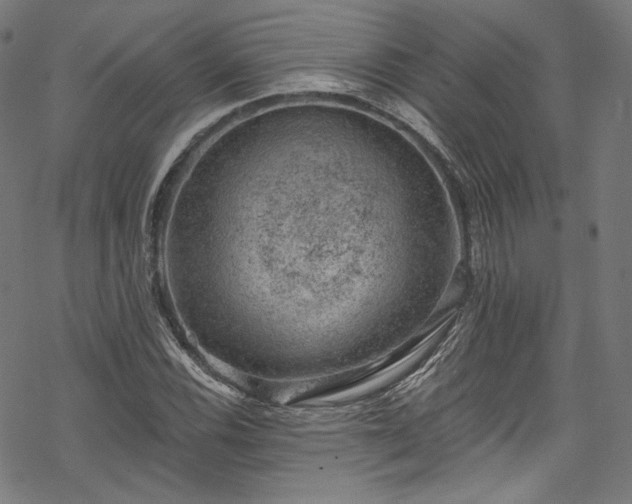 X0000068901116200605081338