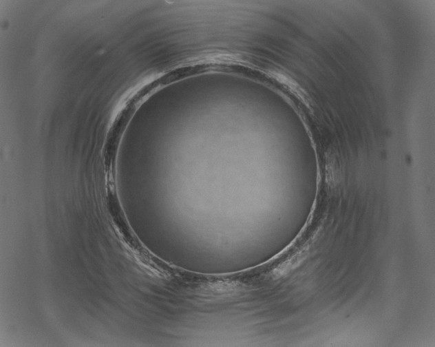 X0000068901117200605081338