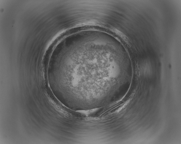 X0000068901118200605081338