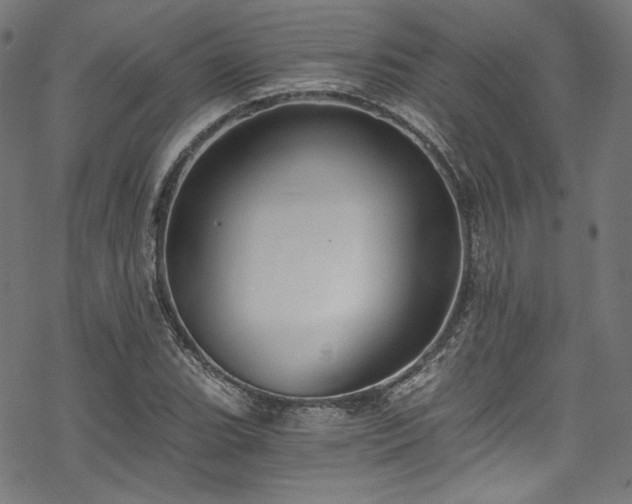 X0000068901119200605081338