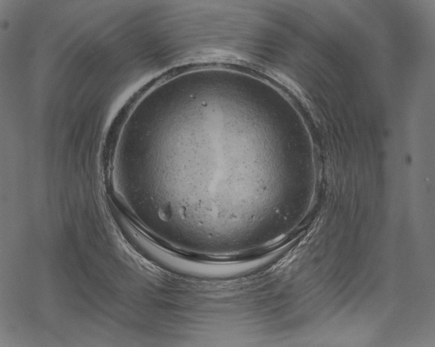 X0000068901120200605081338