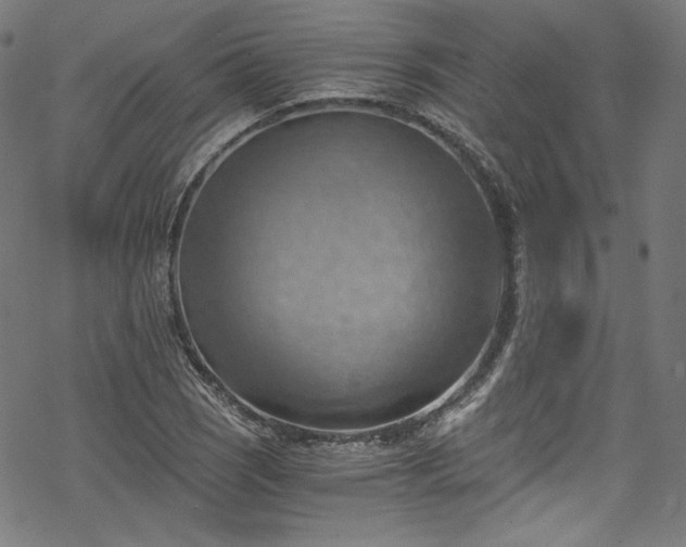 X0000068901121200605081338