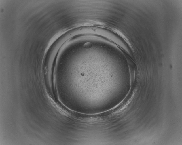 X0000068901122200605081338