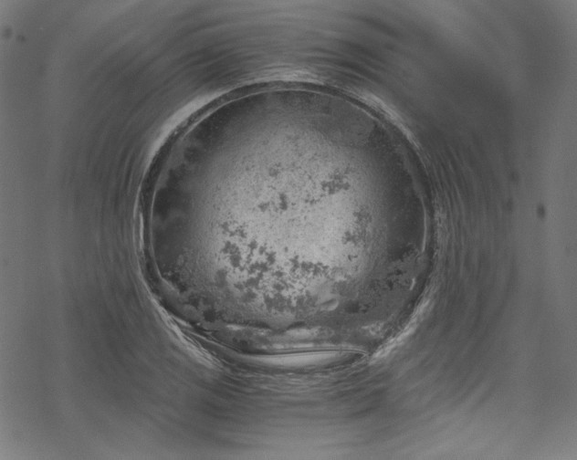 X0000068901125200605081338