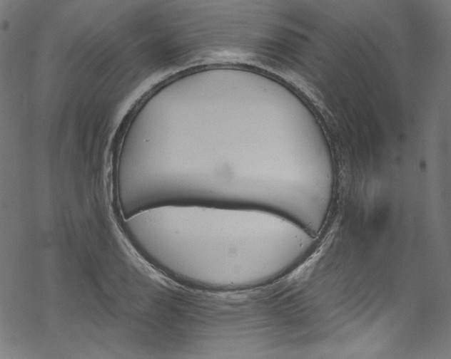 X0000068901126200605081338