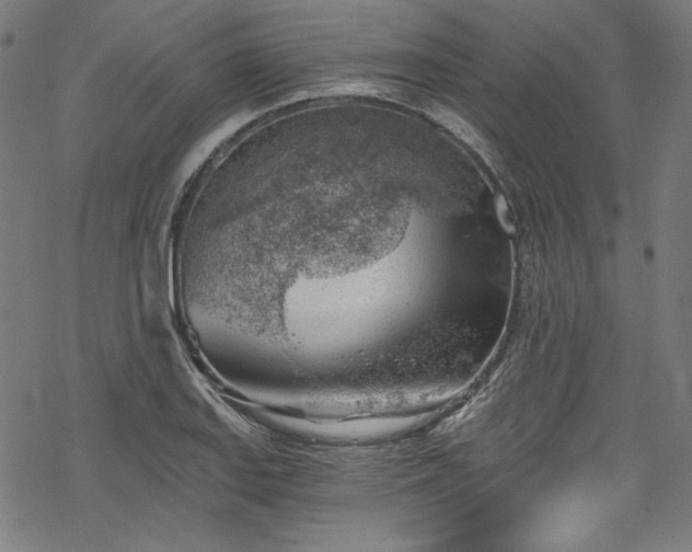 X0000068901127200605081338